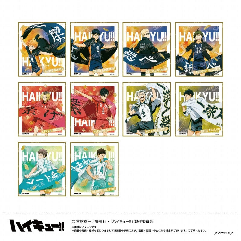 Haikyuu!! Shikishi Collection  Banner Ver.  Shoyo Hinata Schn?ppchen