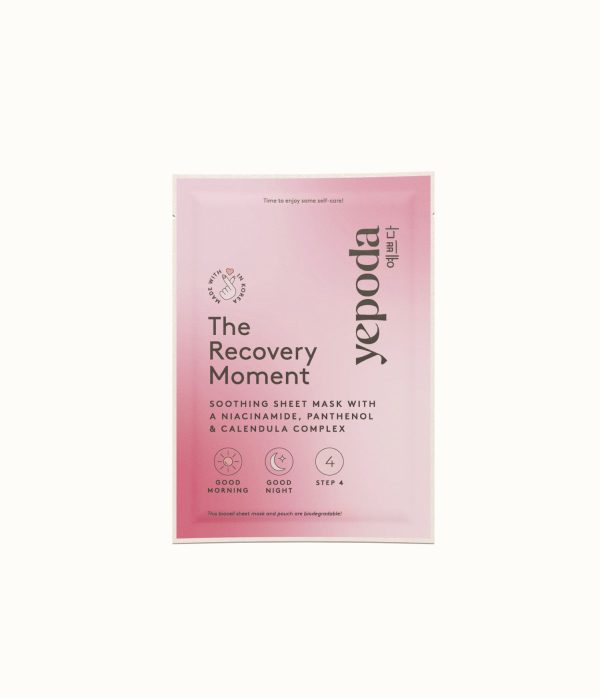The Recovery Moment Zu verkaufen