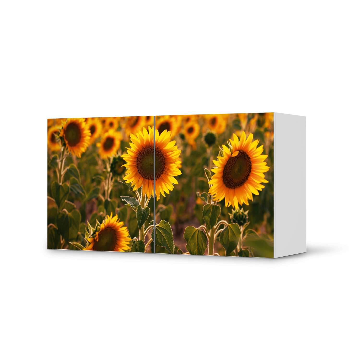 Folie für Möbel IKEA Besta Regal 2 Türen (quer) – Design: Sunflowers Zu verkaufen